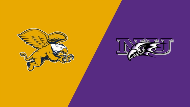 2比3绝杀+1比1逼平！五星巴西表现低迷，世界杯夺冠无望？