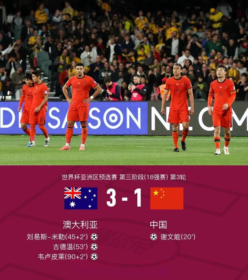 全面解析世界杯比分平台